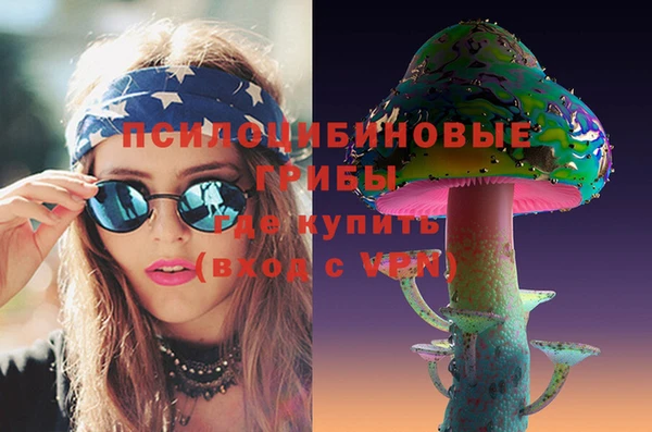 соль ск Нея