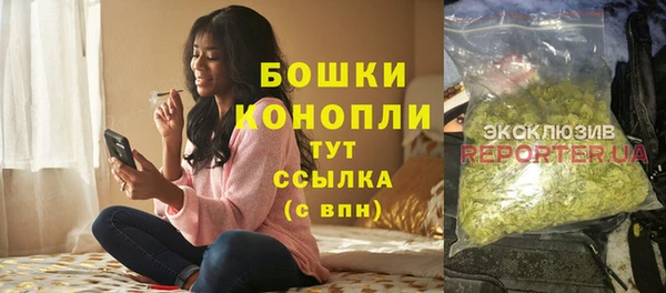 МДПВ Нефтегорск