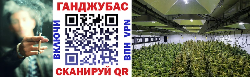 хочу наркоту  Таруса  Марихуана марихуана 